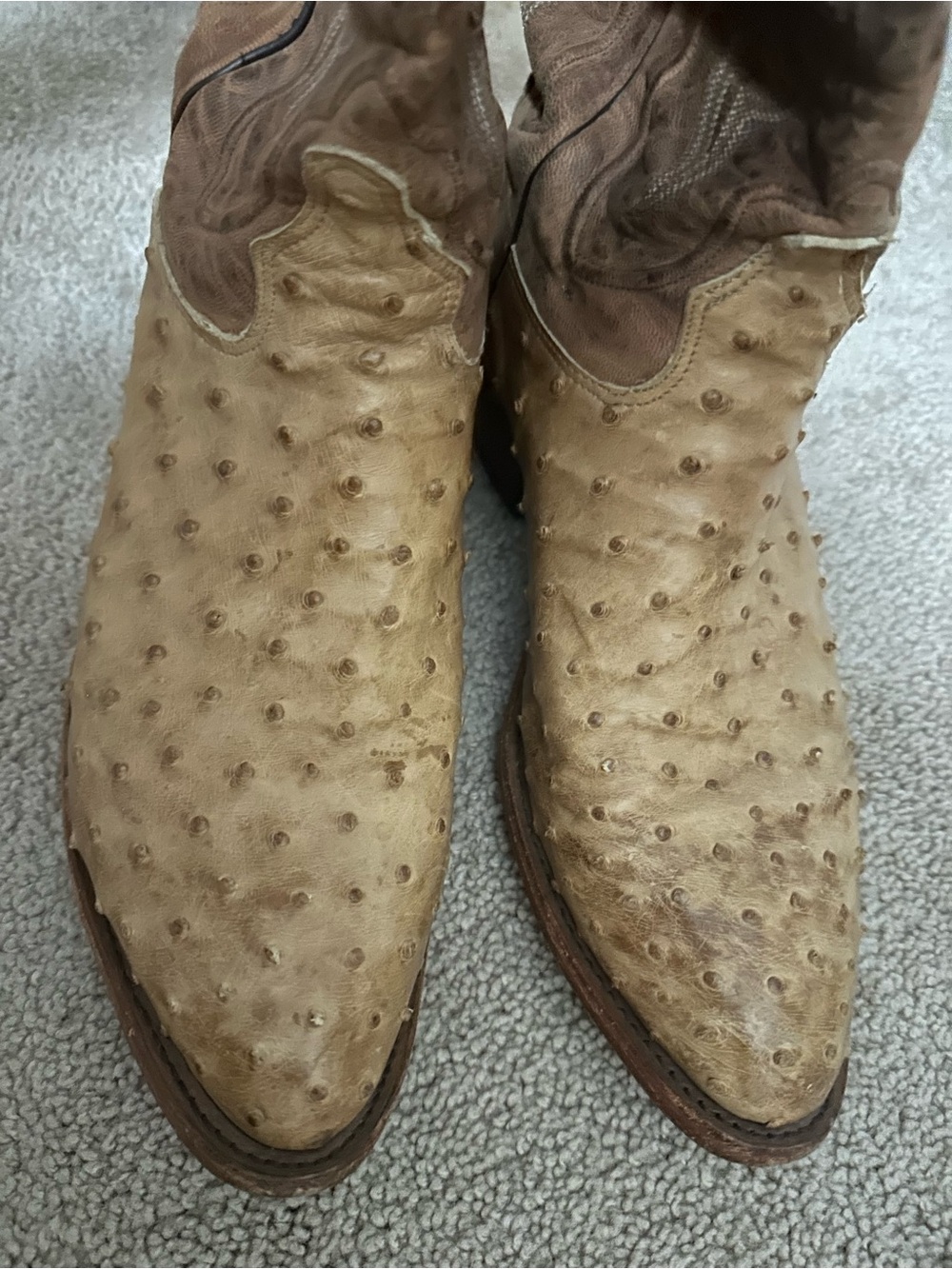 Tony Lama Tan Ostrich-Texture Western Cowboy Boots - Picture 3 of 12